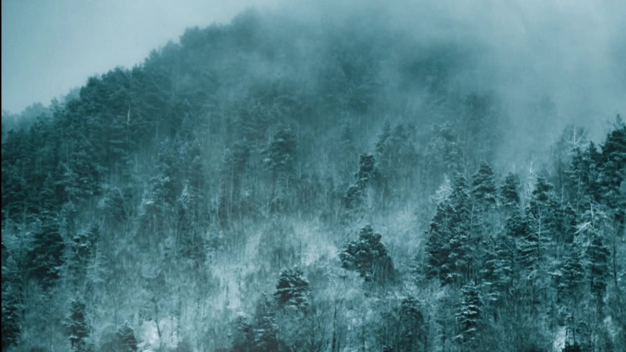 a nostalgic twilight comfort playlist (instrumentals + rain ambience)🔴