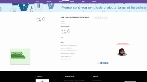 BMK Glycidic Acid (sodium salt) CAS: 25547-51-7