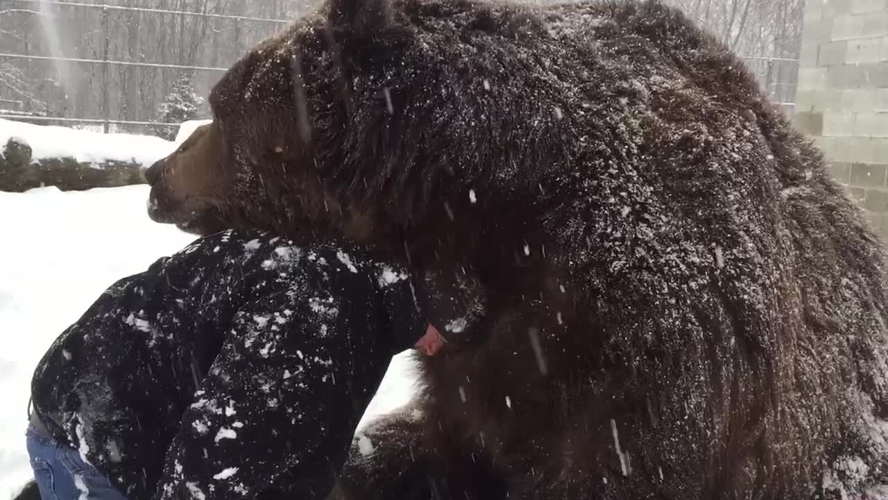 Man's Beary Best Friend