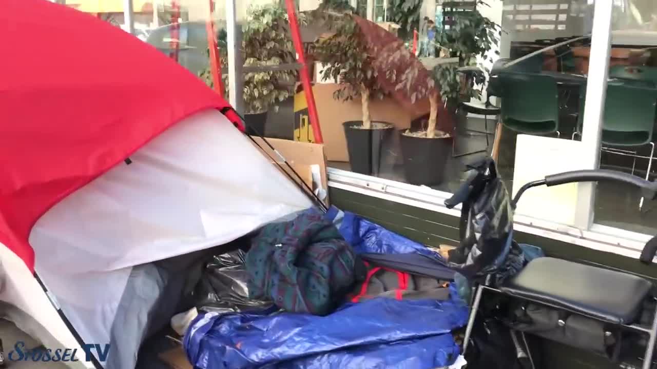 Democrat/Progressive Politician Criminals' radical failing policies caused homeless and theft Crisis in San Francisco.