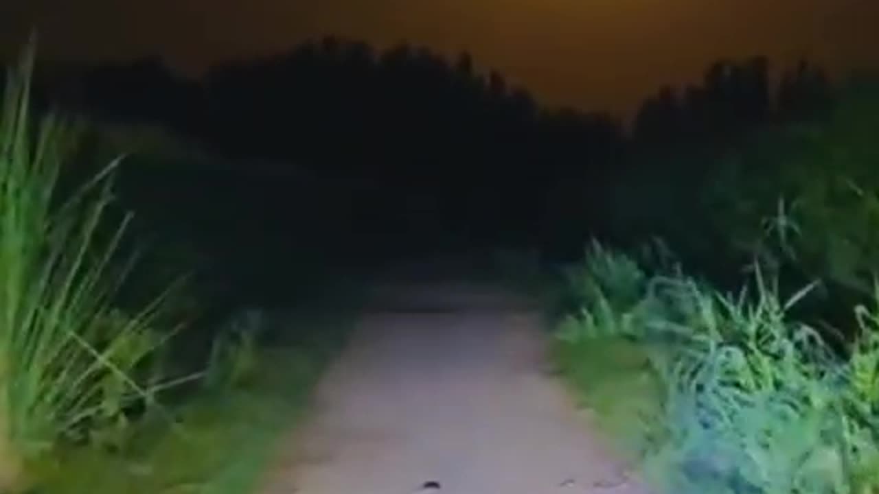 Travelling in Night swat valley