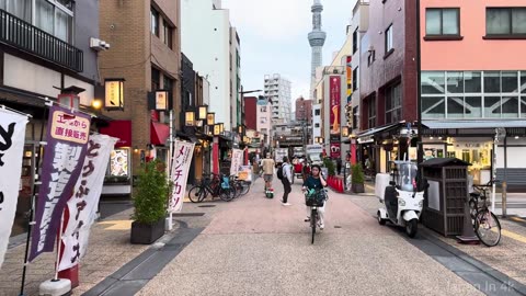 Tokyo Walk Asakusa | Timeless Beauty