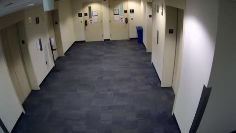 8004FCOB02ElevatorLobby_2021-01-05_02h20min00s217ms.mp4