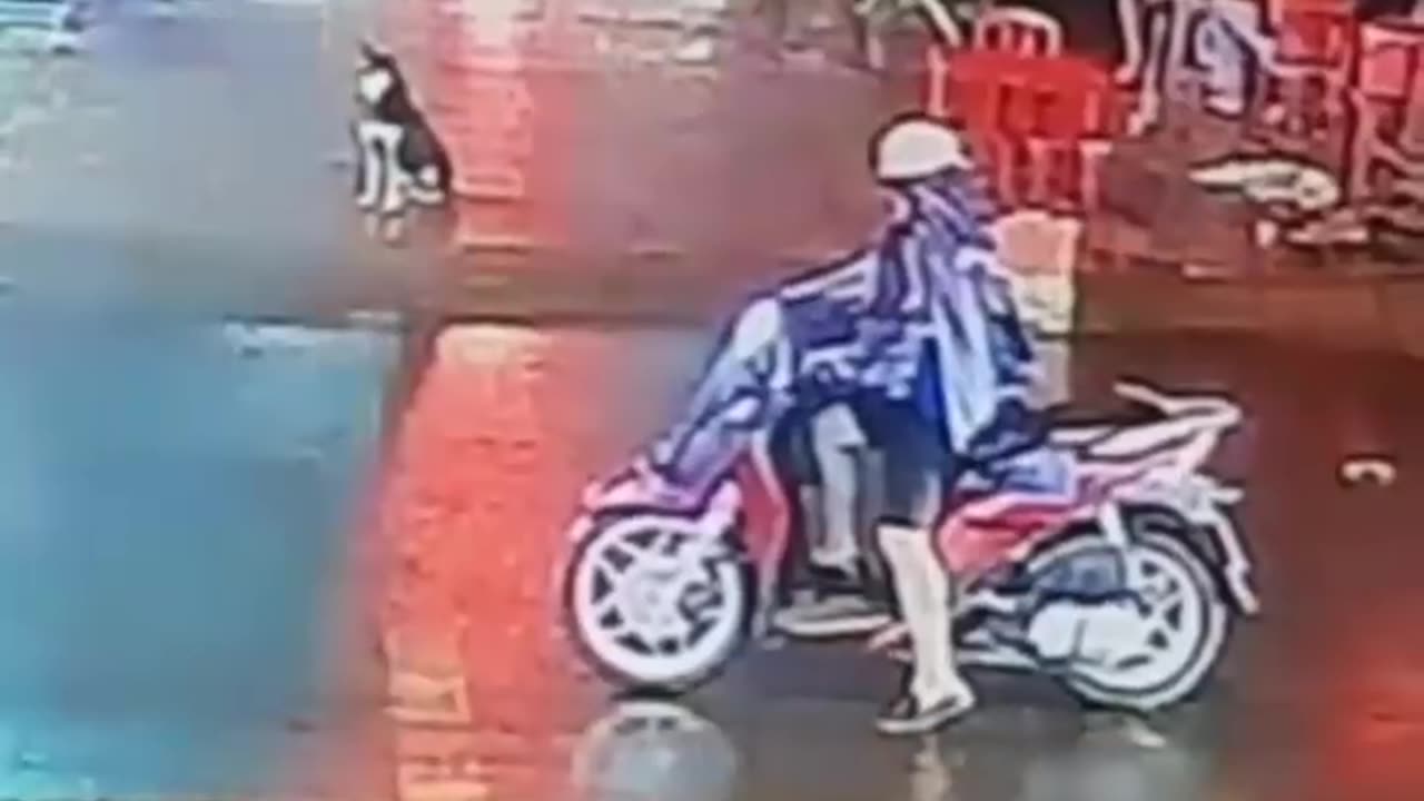 The end 😂😂😂 #funny #fails #shorts #viral #idiotsfolder
