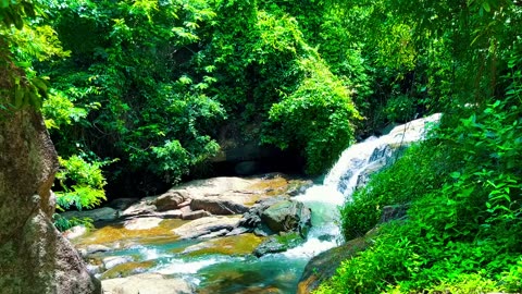 Relaxing soft piano music with the sound of forest streams and birds chirping