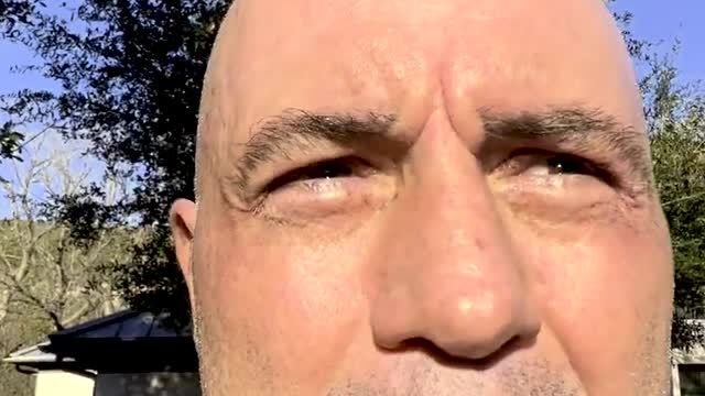 Joe Rogan defends podcast and apologizes to Spotify for backlash