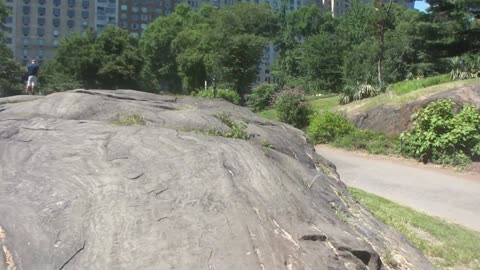 Luodong Walks Around Central Park