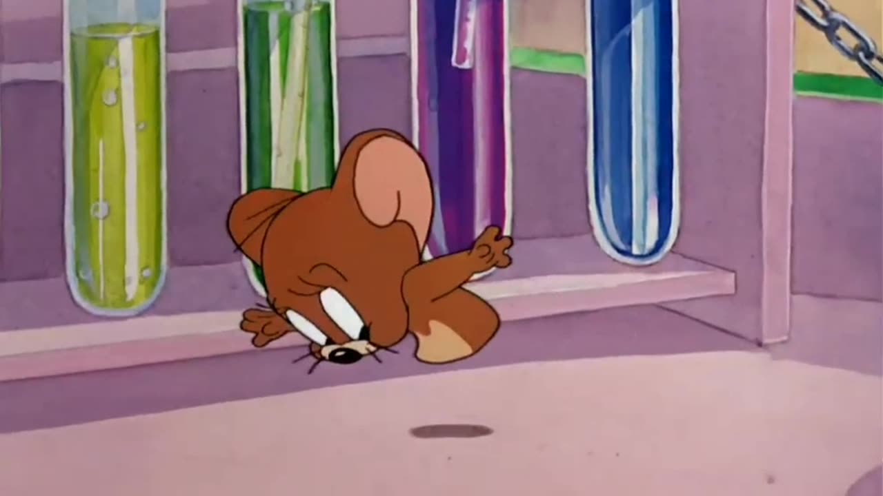 Tom and Jerry cartoon