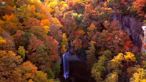 Beautiful waterfall 😍