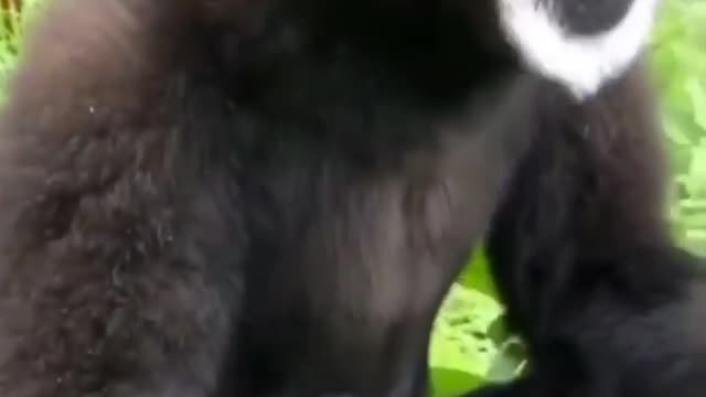 🔊 Sound on!