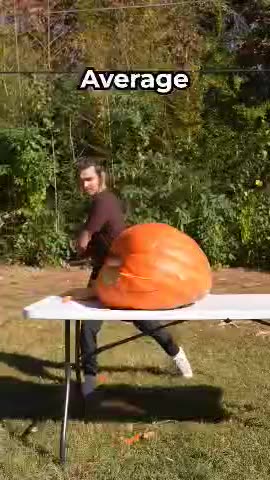 We Sliced The LARGEST Pumpkin We Could Find!! #halloweenwithshorts