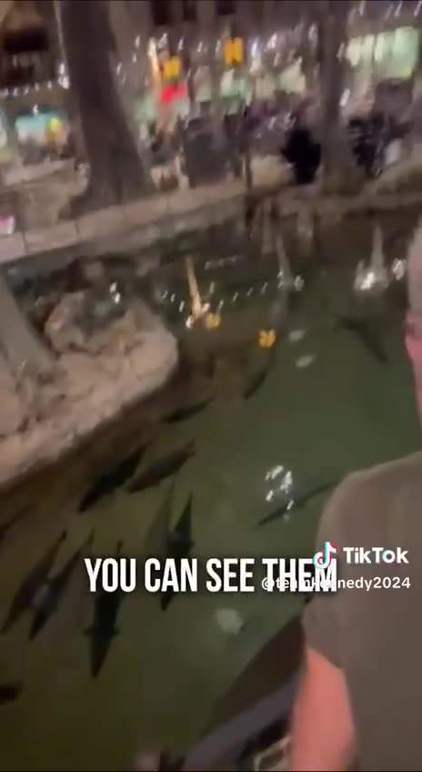 RFK visits Bass Pro shop in Memphis after Freedom Fest