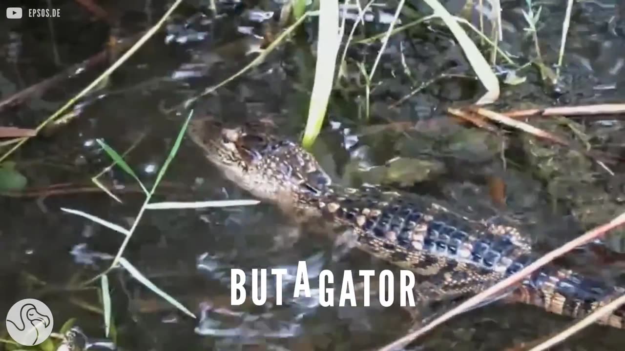 It Belongs To Them