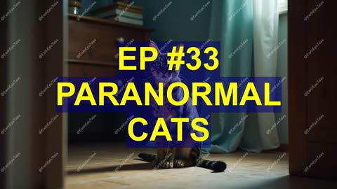 Unlocking the Mysterious Paranormal Abilities of Cats