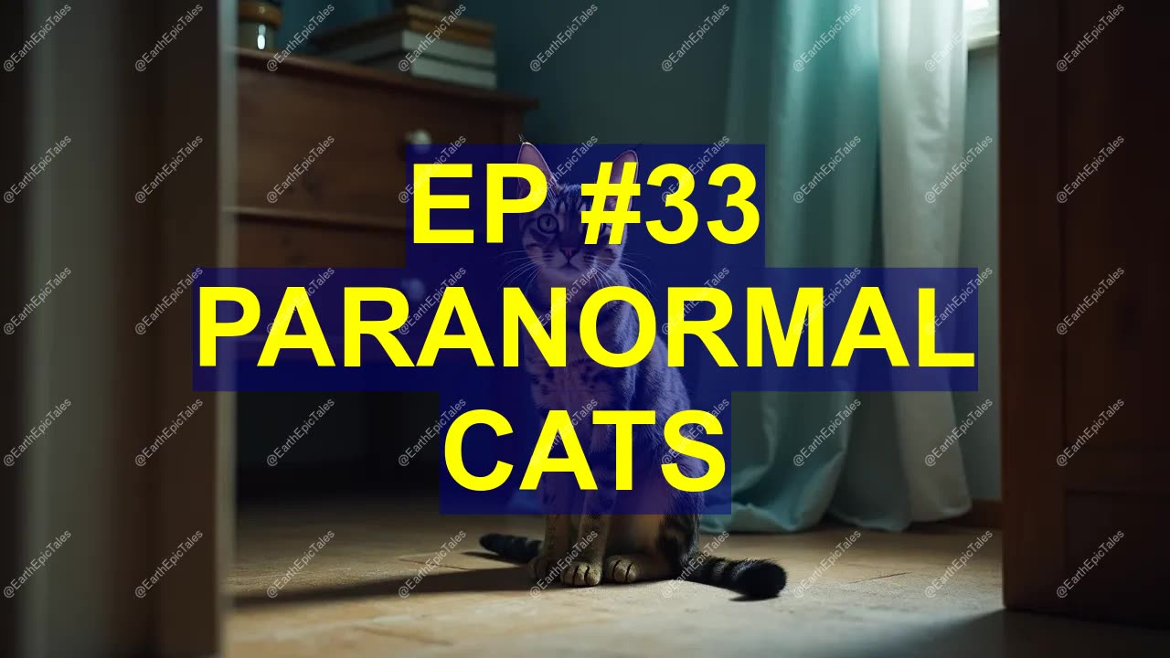 Unlocking the Mysterious Paranormal Abilities of Cats