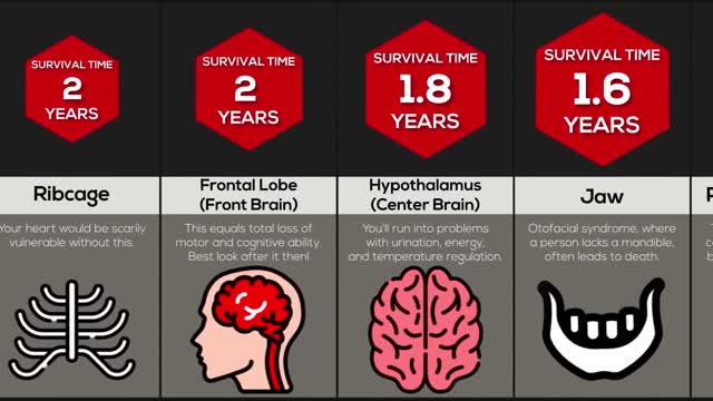 Comparison: Worst Body Parts To Get Removed