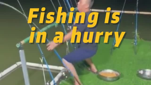 Fishing is in a hurry
