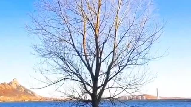Nature is so beautiful and should be enjoyed