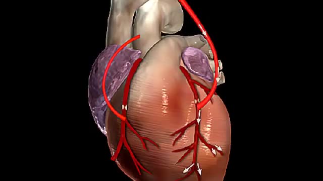 How## this ##♥️heat ##bypass #surgery #work