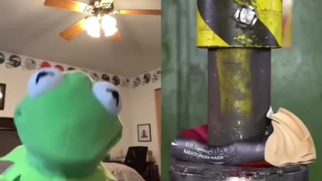 Funny Kermit the frog videos of 2020