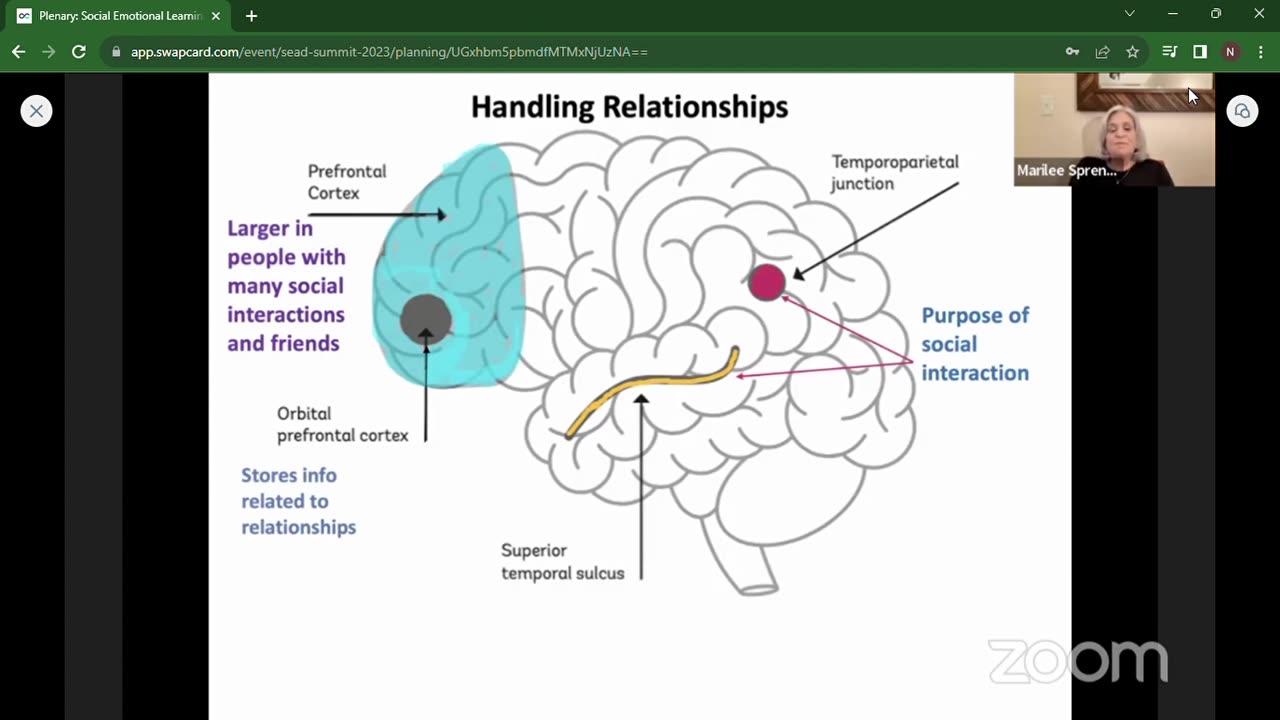 Plenary: Social Emotional Learning and the Brain