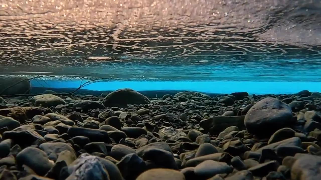 Video by nature