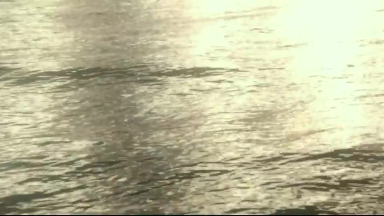 300 - Spartans Arriving