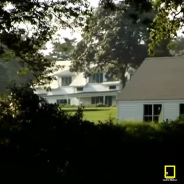 drefanzor memes - Biggus Mikeus Erectus