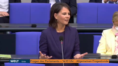 Die Expertin und die Tierpanzer 🤔