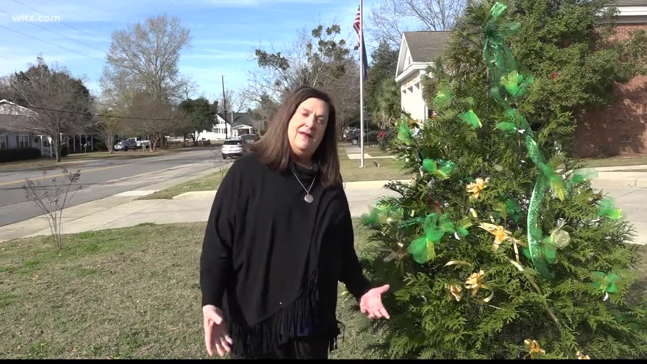 Christmas tree for child batting cancer this holiday