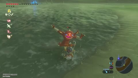 PIG IN THE WATER