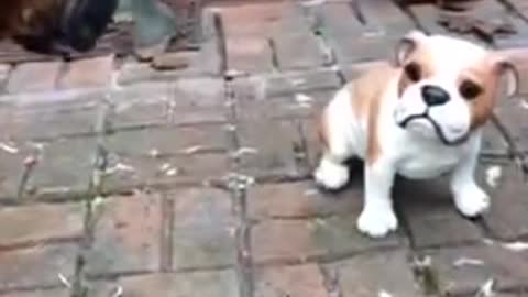 Boxer intenta desesperadamente hacerse amigo de un perro de cerámica