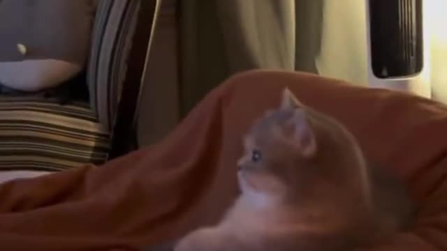 Never look down upon others