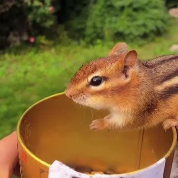 Why is my mouth getting bigger?