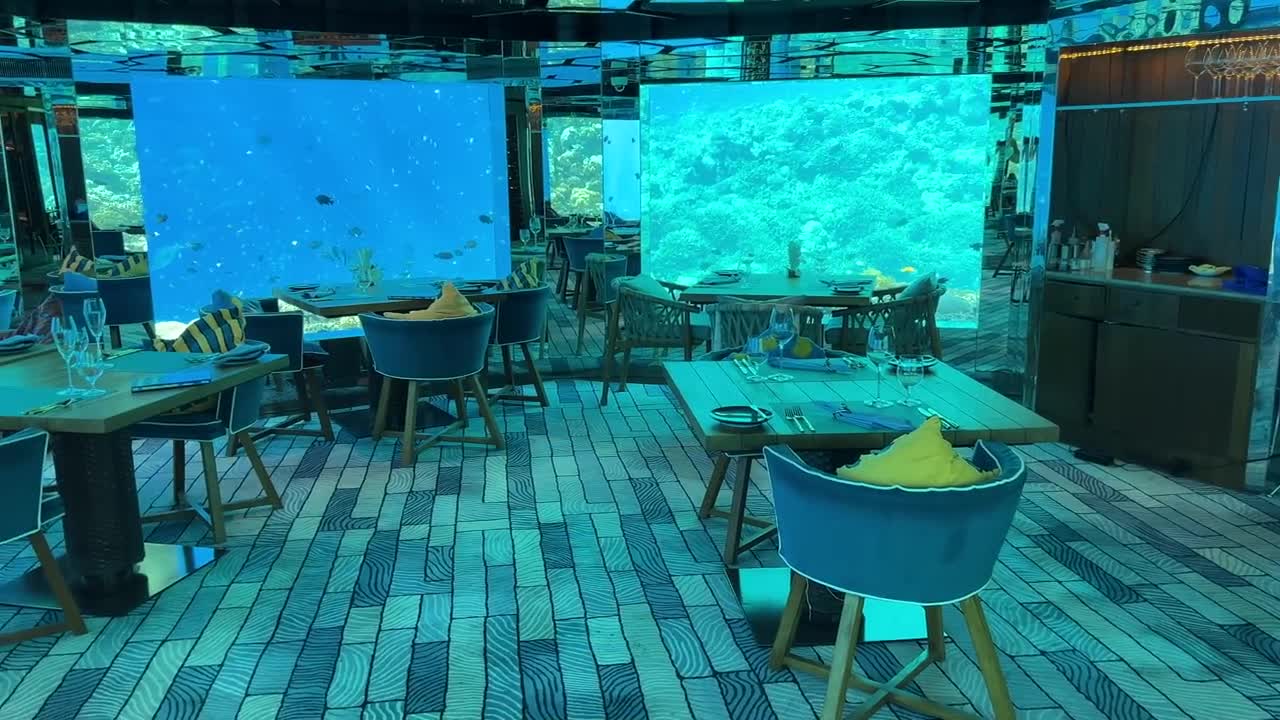 Underwater restaurant in the Maldives | Surreal fine dining experience