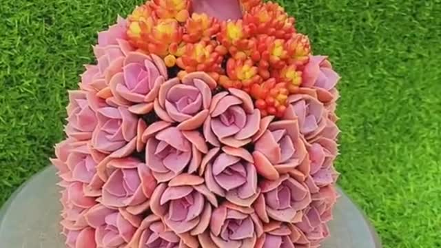 succulents creative princess dress modeling planting