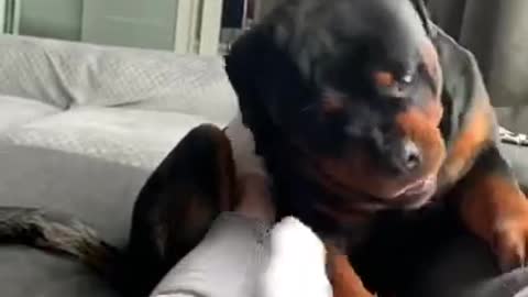 Don't touch my mommy