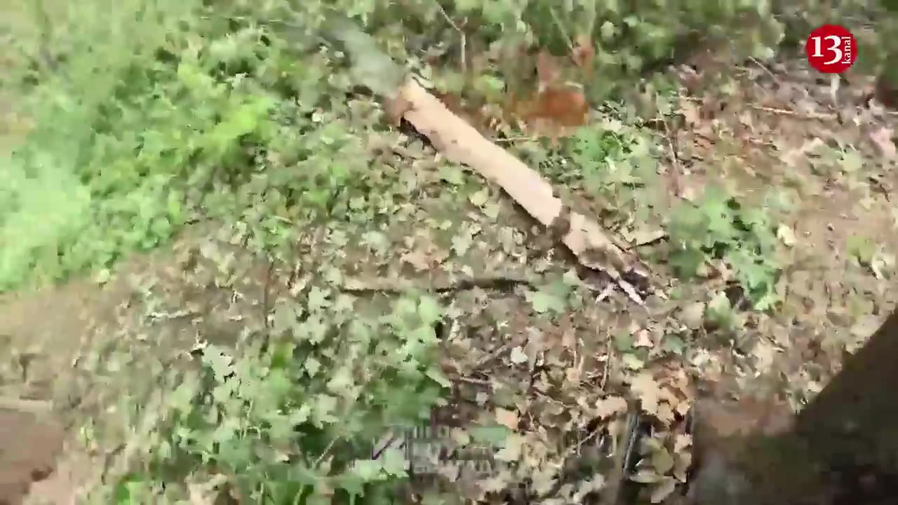 Ukraine giving up on Western battle tactics