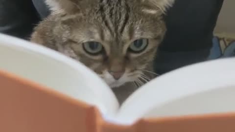 📚😘