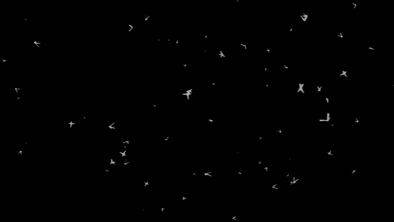 Birds flight in space