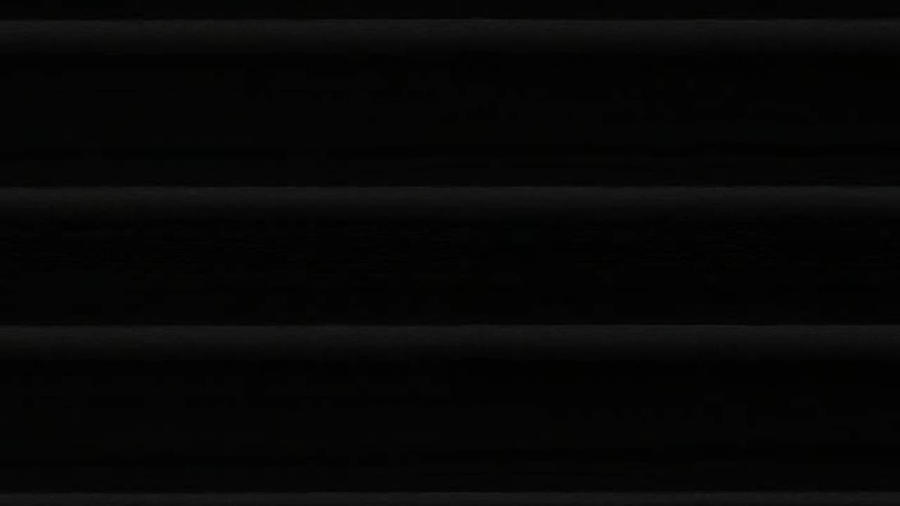 2942FHOB01Xray3rdSt_2021-01-05_04h20min01s947ms.mp4