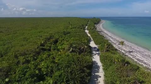 Hidden forest Island Drone Aerial View