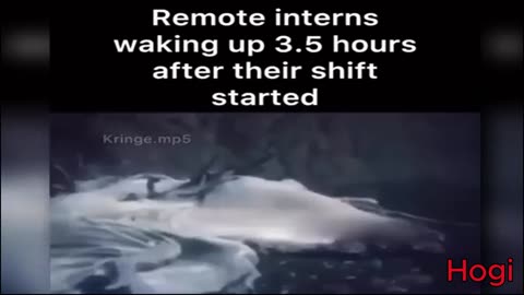 Try Not To Laugh for 10 minutes