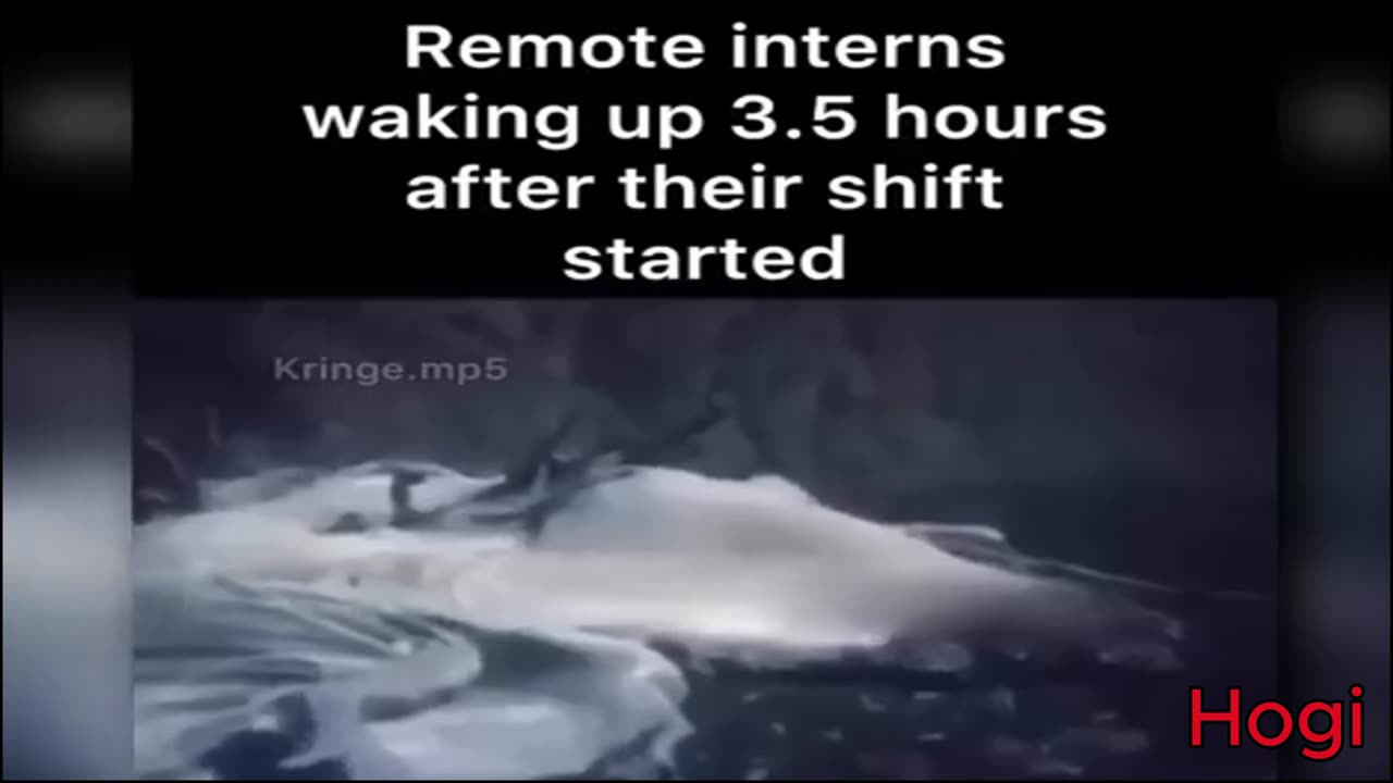Try Not To Laugh for 10 minutes