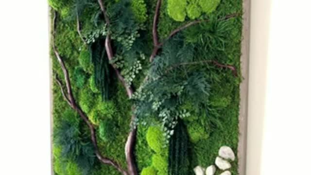 Beautiful moss wall art decoration ideas