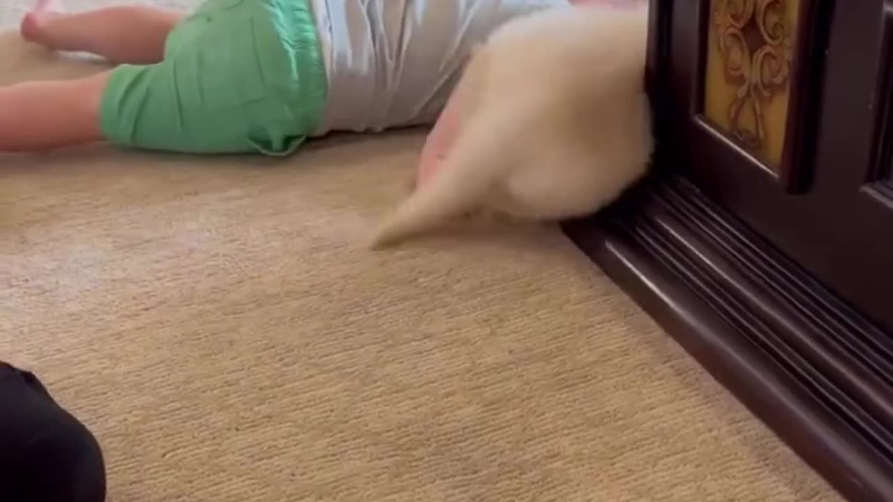 Funny baby