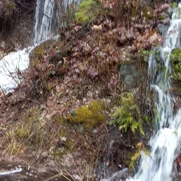 Spring Rains Filling Up The Lake.