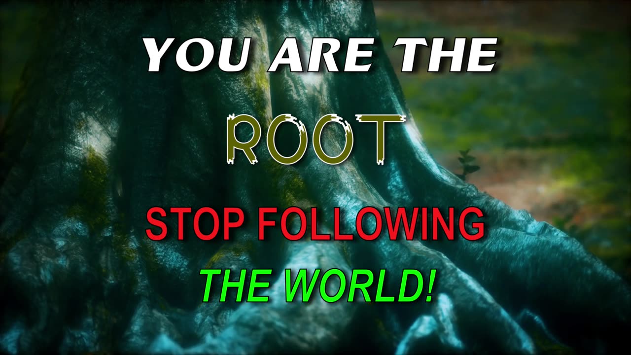 You Are the ROOT - Stop Following the World!