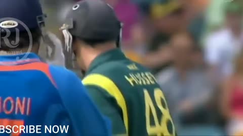 Cricketers fighting parody