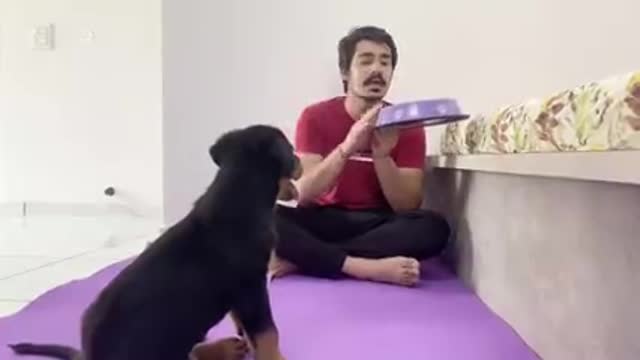 HOW TO TRAIN YOUR PUPPY FOR FOOD DISCIPLINE/3 MONTH OLD ROTTWEILER PUPPY TRAINING!